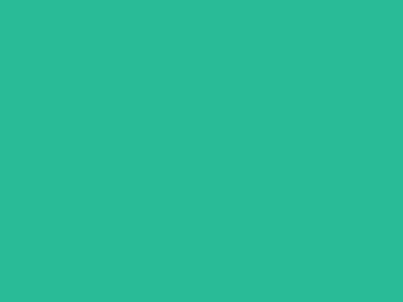 Synthetic Fiber Company